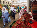 le printemps Tunisien