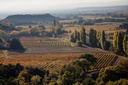 Rousset les vignes