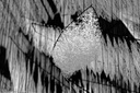 Chiharu_Shiota