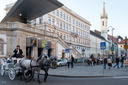 Vienne