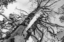 XT1-8055-Modifier