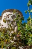 Drôme provençale