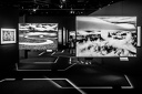 Expo-art